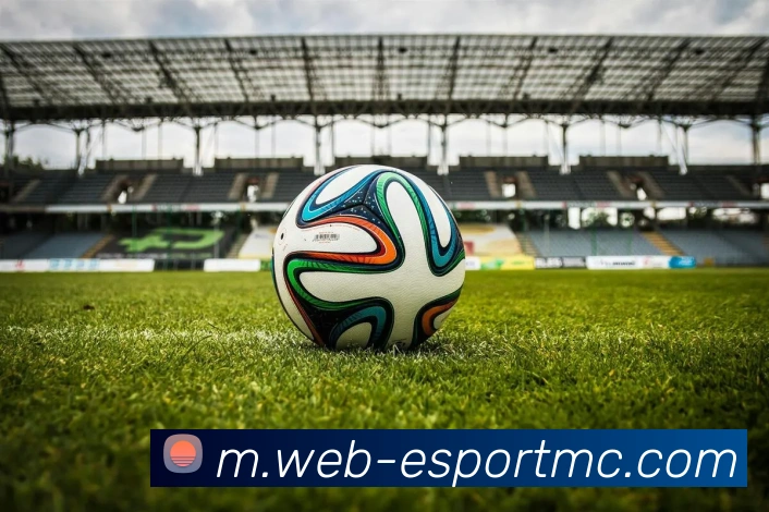 易倍体育APP 高清赛事图